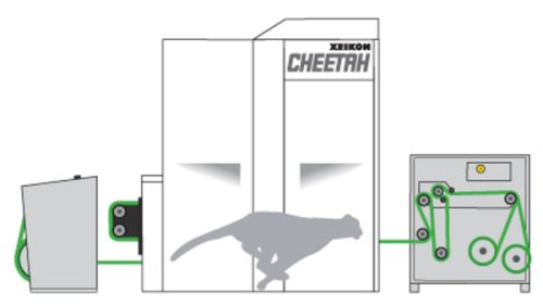 Cheetah diagram